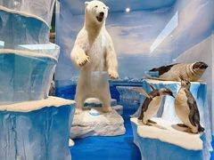 -国家自然博物馆