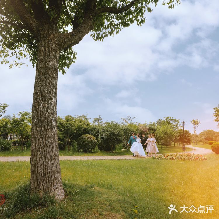 『草坪婚礼｜户外婚礼的绝美颜色』