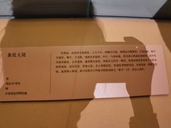 -中国国家博物馆-地上停车场