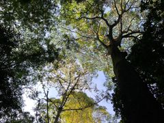 -滴水岩森林公园