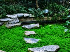 -南山植物园