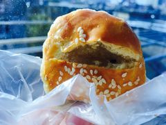 -欧佩拉(段家坝店)