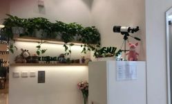 -青苗儿童口腔(长楹天街购物中心)