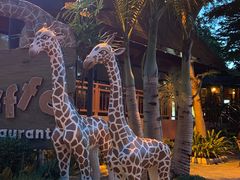 -清迈夜间动物园