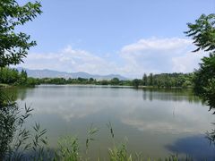 -翠湖国家城市湿地公园