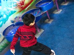 -中国宋庆龄青少年科技文化交流中心