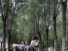 -爪吧宠物乐园 (温榆河示范区店)