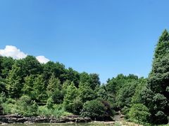 -铁山坪森林公园