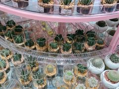 -KKV(深圳宏发大仟里店)