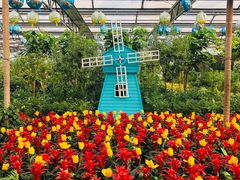 -南宫五洲植物乐园