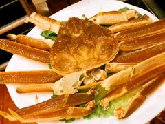 松叶蟹-吉友粥底火锅(方斜路店)