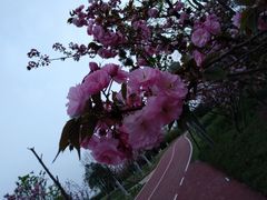 -白鹭湾湿地公园