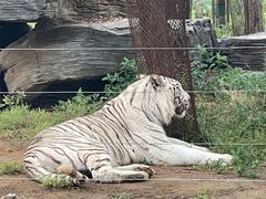 -秦皇岛野生动物园