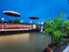 -一煲鸽