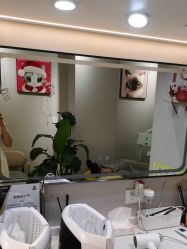 -洗脸猫·洗脸吧