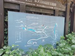 -东天目山风景区