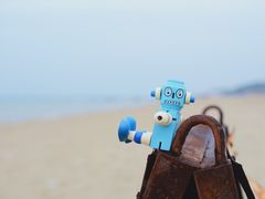 -巨鹏飞梦幻海岸