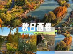 -贡湖湾湿地公园