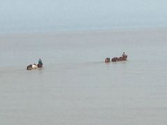 -碧海金沙