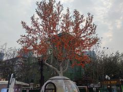 -天津意大利风情旅游区