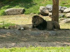 -北京野生动物园