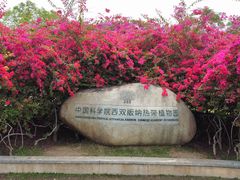 -中国科学院西双版纳热带植物园