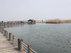 -太湖湖滨国家湿地公园-停车场