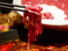 -蜀大侠火锅(森兰花园城店)