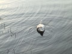 -吉林大学(前卫南校区)