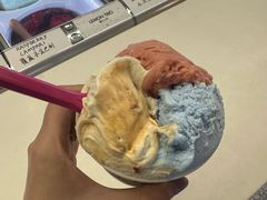 -Dal Cuore 达可芮冰淇淋(陕西北路店)