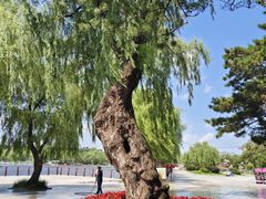 -长春市南湖公园