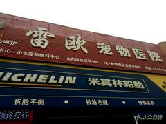 -瑞派雷欧宠物医院·24h夜诊·心脏骨科牙科·全科重症转诊中心(无影山店)