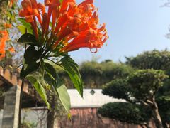 -广州神农草堂中医药博物馆