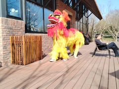 -长兴太湖图影湿地文化园