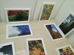 -文汇新民联合报业集团(上海报业大厦店)