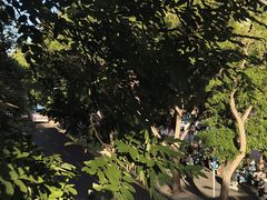 -北国商城