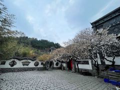 -老张烤羊(王哥庄店)