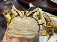 -小陆莲花蟹园农家乐(莲花岛店)