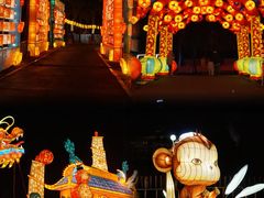 -欢乐海岸椰林沙滩-2025湾区超级灯会