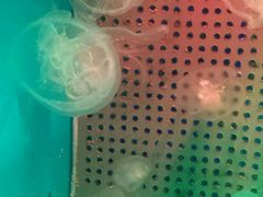 -洛阳龙门海洋馆