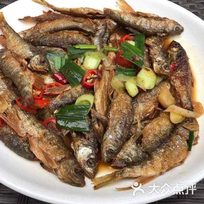 农家溪鱼                 蓝_7471