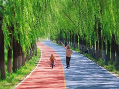 -大兴滨河森林公园