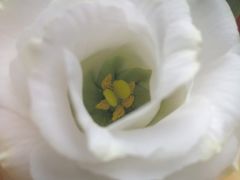 -Sarah西点·烘焙·餐厅(翰林府旗舰店)