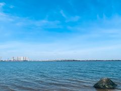 -瑶湖郊野森林公园