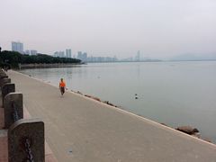 -深圳湾公园(南山区)