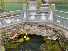 -靖西鹅泉风景区