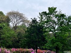 -杭州植物园
