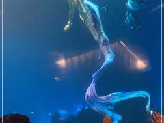 -涛·海底餐厅·美人鱼·自助餐·海底隧道(三亚海棠湾洲际度假酒店)