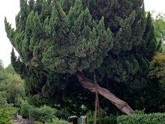 -云龙山
