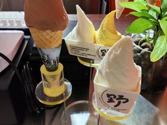 -野人先生现做冰淇淋(北京王府井东方新天地店)